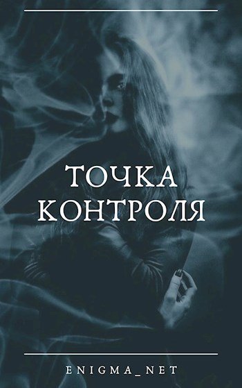 Точка контроля (fb2)