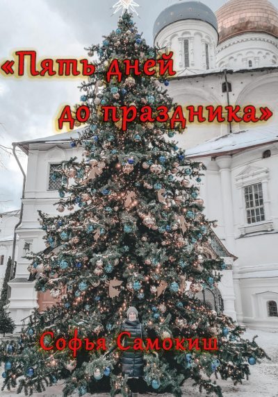 Пять дней до праздника (fb2)