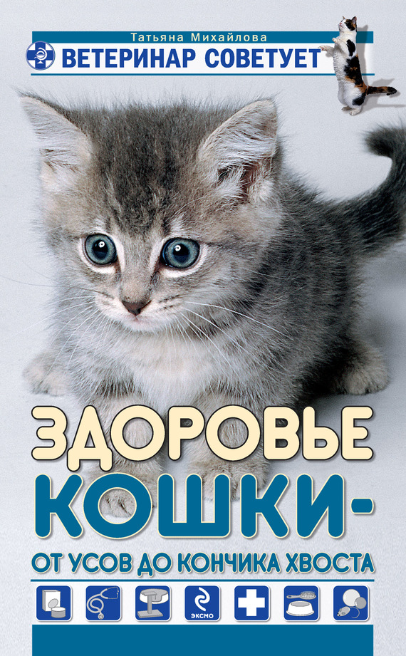 Здоровье кошки от усов до кончика хвоста (fb2)