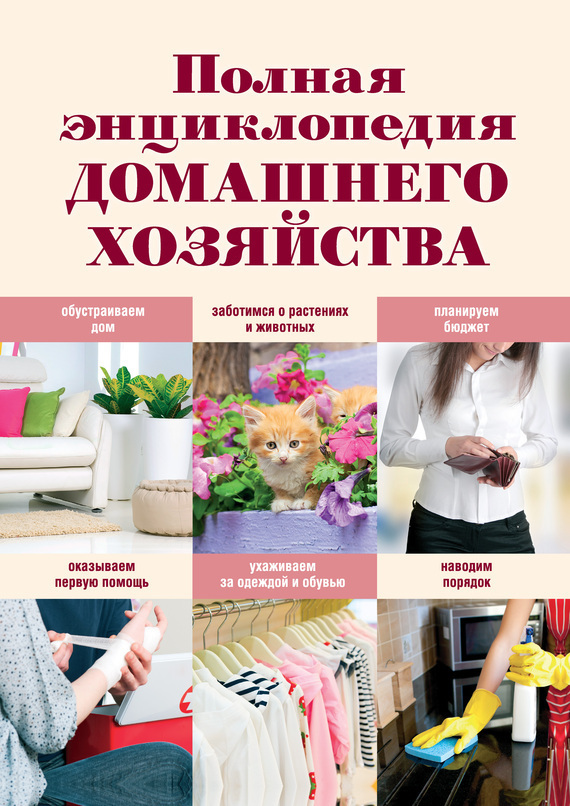 Полная энциклопедия домашнего хозяйства (fb2)