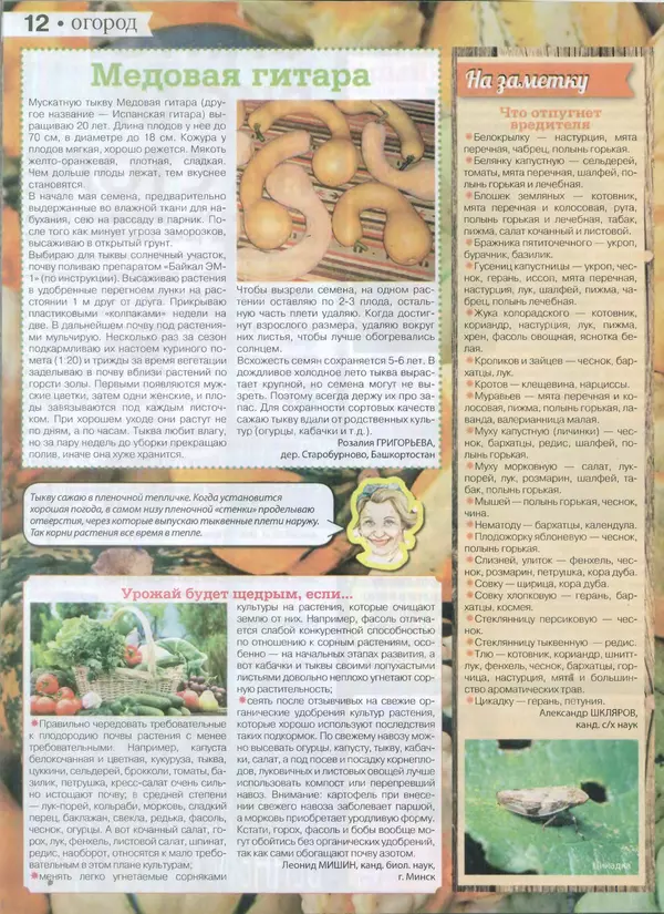 КулЛиб.   журнал Сваты на даче - Сваты на даче 2015 №3(03). Страница № 12