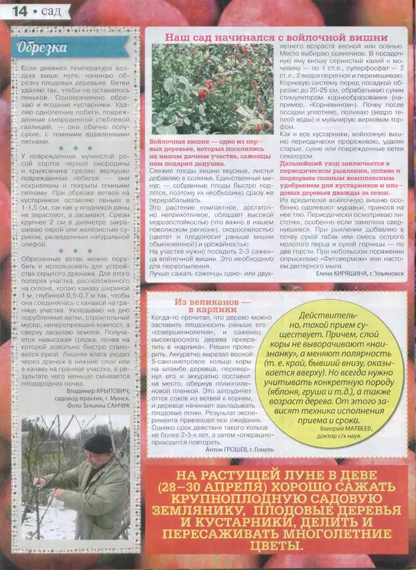 КулЛиб.   журнал Сваты на даче - Сваты на даче 2015 №3(03). Страница № 14