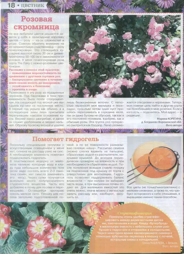 КулЛиб.   журнал Сваты на даче - Сваты на даче 2015 №3(03). Страница № 18