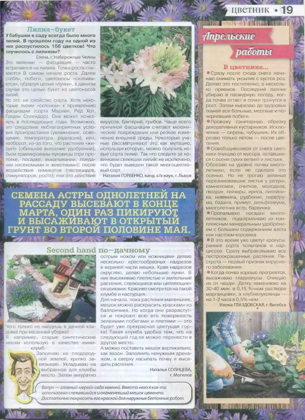 КулЛиб.   журнал Сваты на даче - Сваты на даче 2015 №3(03). Страница № 19