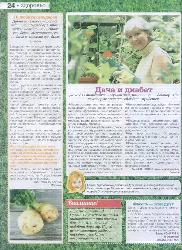 КулЛиб.   журнал Сваты на даче - Сваты на даче 2015 №3(03). Страница № 24