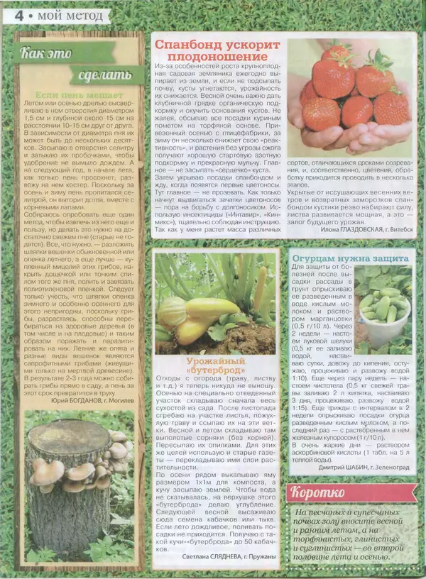 КулЛиб.   журнал Сваты на даче - Сваты на даче 2015 №3(03). Страница № 4