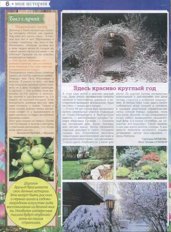 КулЛиб.   журнал Сваты на даче - Сваты на даче 2015 №3(03). Страница № 6