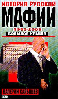 История Русской мафии 1995-2003. Большая крыша (fb2)