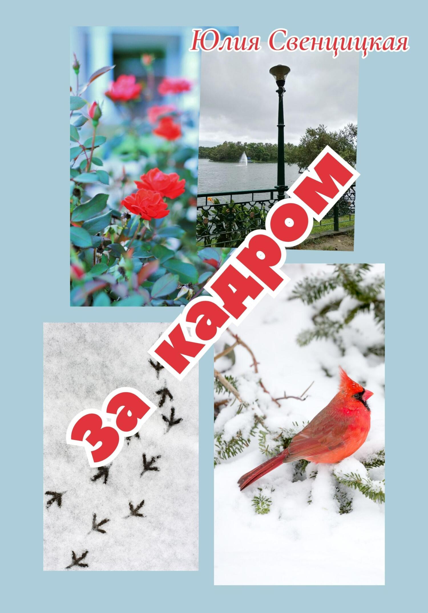 За кадром (fb2)