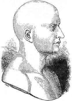 Тиберий и Гай Гракхи. Их жизнь и общественная деятельность (fb2)