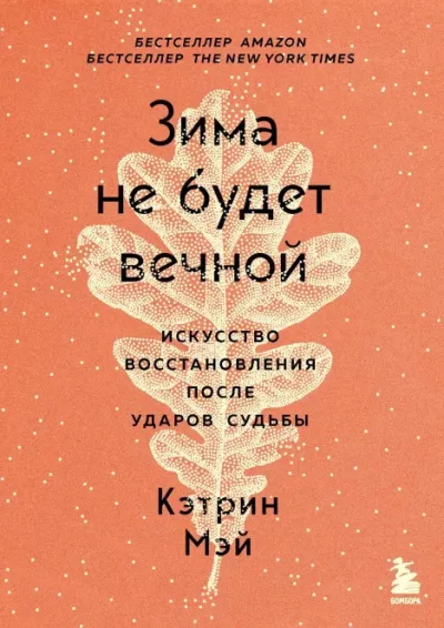 Зима не будет вечной. Искусство восстановления после ударов судьбы (epub)