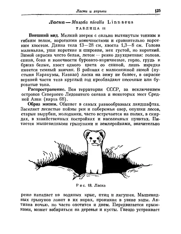 КулЛиб.   Коллектив авторов - Млекопитающие СССР. Страница № 125