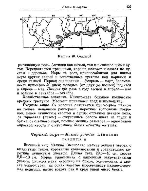КулЛиб.   Коллектив авторов - Млекопитающие СССР. Страница № 137