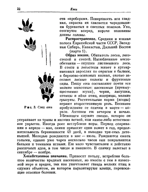 КулЛиб.   Коллектив авторов - Млекопитающие СССР. Страница № 22