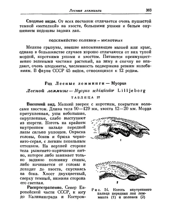 КулЛиб.   Коллектив авторов - Млекопитающие СССР. Страница № 408