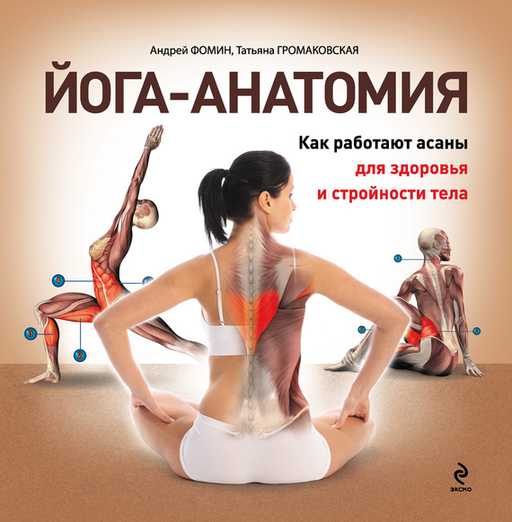 Йога-анатомия. Как работают асаны для здоровья и стройности тела (fb2)