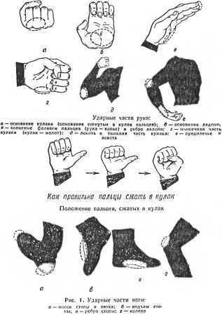 Сокрушительная боевая техника ниндзютсу. Виктор Попенко. Иллюстрация 9