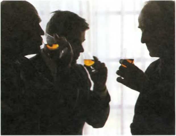 Крепкие алкогольные напитки мира. Иллюстрированный путеводитель. Дэйв Брум. Иллюстрация 54
