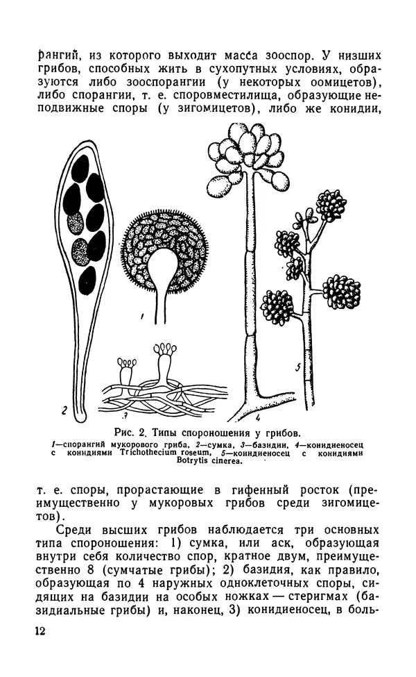 КулЛиб. Михаил Кузьмич Хохряков - Вредные и полезные грибы. Страница № 13