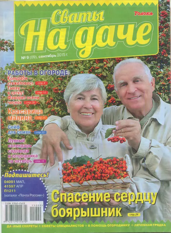 КулЛиб.   журнал Сваты на даче - Сваты на даче 2015 №9(09). Страница № 1