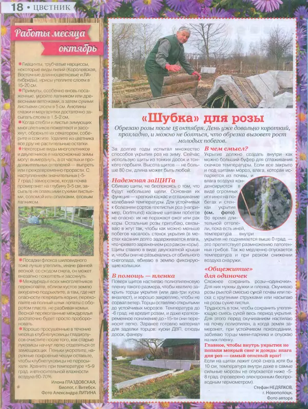 КулЛиб.   журнал Сваты на даче - Сваты на даче 2015 №9(09). Страница № 17