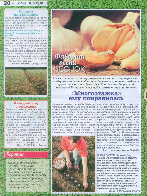 КулЛиб.   журнал Сваты на даче - Сваты на даче 2015 №9(09). Страница № 19