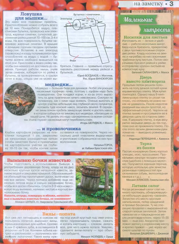 КулЛиб.   журнал Сваты на даче - Сваты на даче 2015 №9(09). Страница № 3