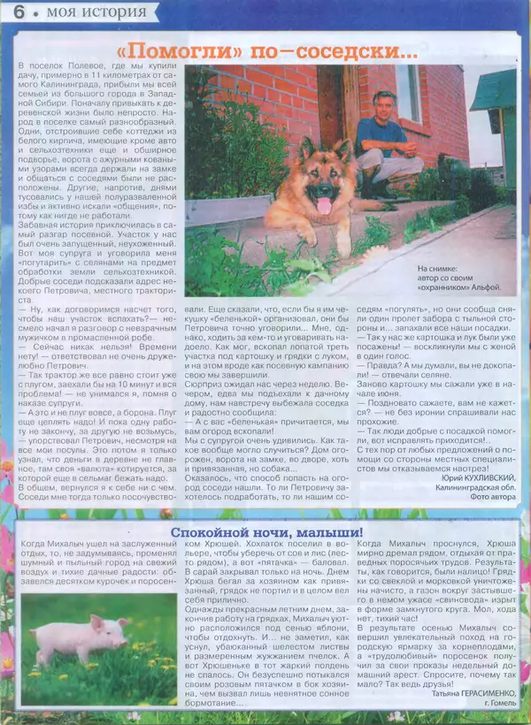 КулЛиб.   журнал Сваты на даче - Сваты на даче 2015 №9(09). Страница № 6