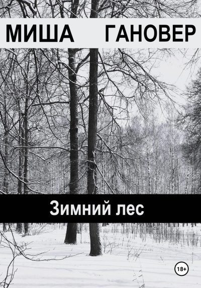 Зимний лес (fb2)