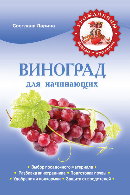 Виноград для начинающих (fb2)