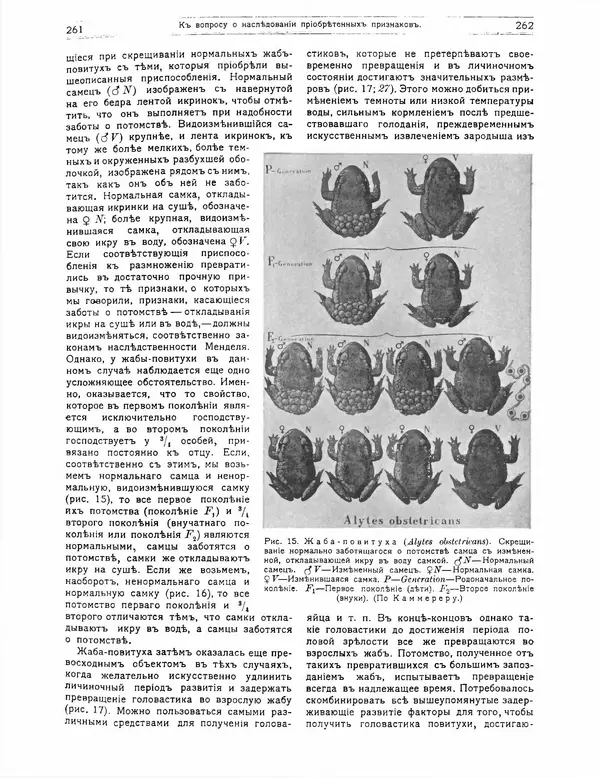 КулЛиб.   журнал Природа - Природа 1912 №02. Страница № 61