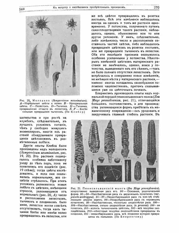 КулЛиб.   журнал Природа - Природа 1912 №02. Страница № 65