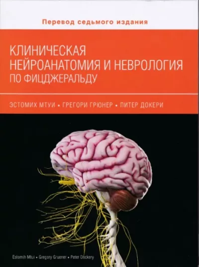 Клиническая нейроанатомия и неврология по Фицджеральду (pdf)