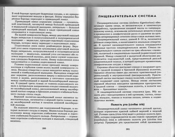 КулЛиб. А. А. Швырев - Анатомия и физиология человека с основами общей патологии. Страница № 102