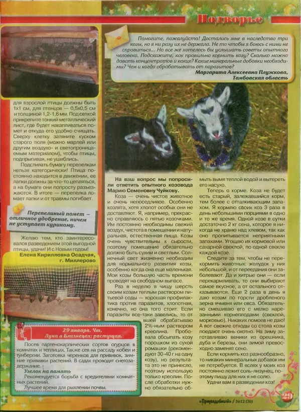 КулЛиб.   журнал Приусадебный - Приусадебный 2014 №12(30). Страница № 29