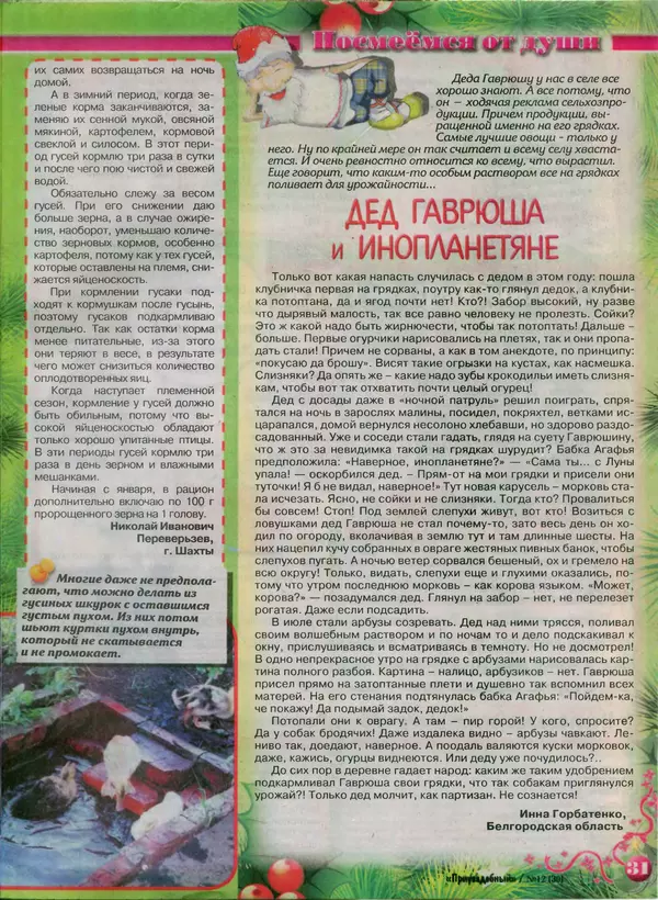 КулЛиб.   журнал Приусадебный - Приусадебный 2014 №12(30). Страница № 31