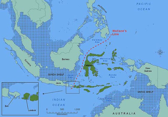 Загадки древней истории Страны восходящего солнца. Андрей Скляров. Иллюстрация 36