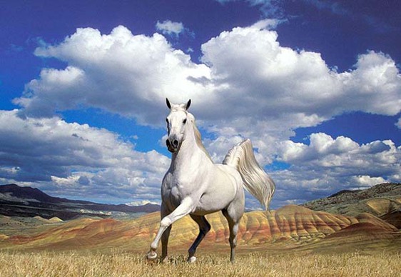 Загадки древней истории Страны восходящего солнца. Андрей Скляров. Иллюстрация 105