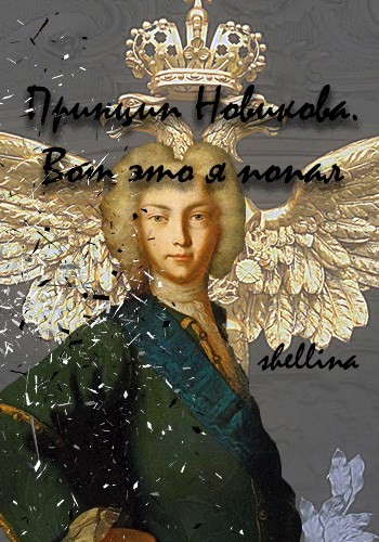 Принцип Новикова. Вот это я попал (fb2)