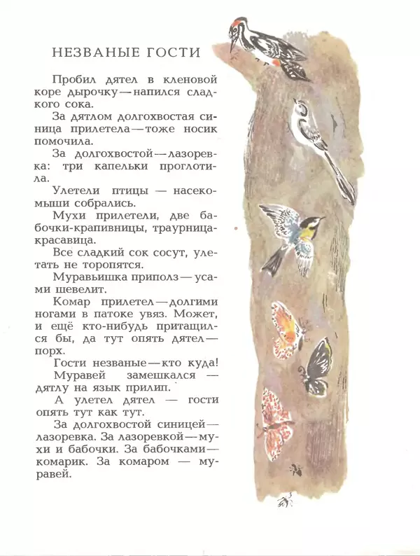 КулЛиб. Николай Иванович Сладков - С севера на юг. Страница № 57