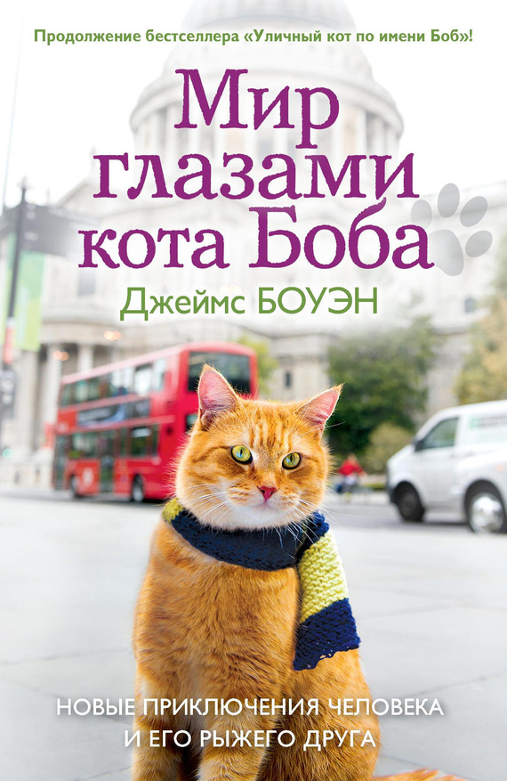 Мир глазами кота Боба. Новые приключения человека и его рыжего друга (fb2)