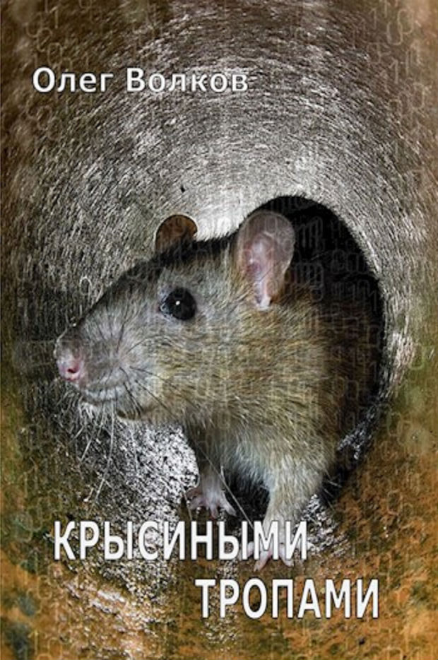 Крысиными тропами (СИ) (fb2)