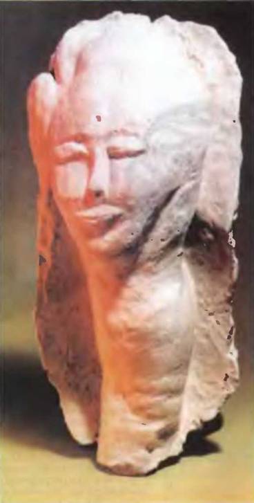 Курсовая работа по теме Древнее искусство народов юга Приамурья (петроглифы и скульптура)