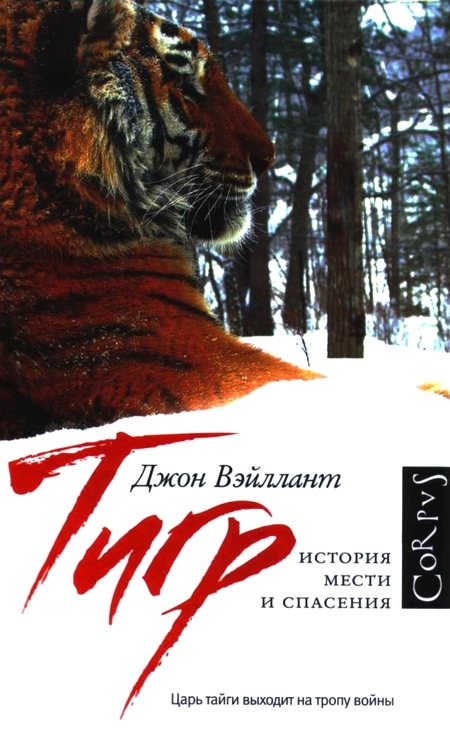 Тигр. История мести и спасения (fb2)