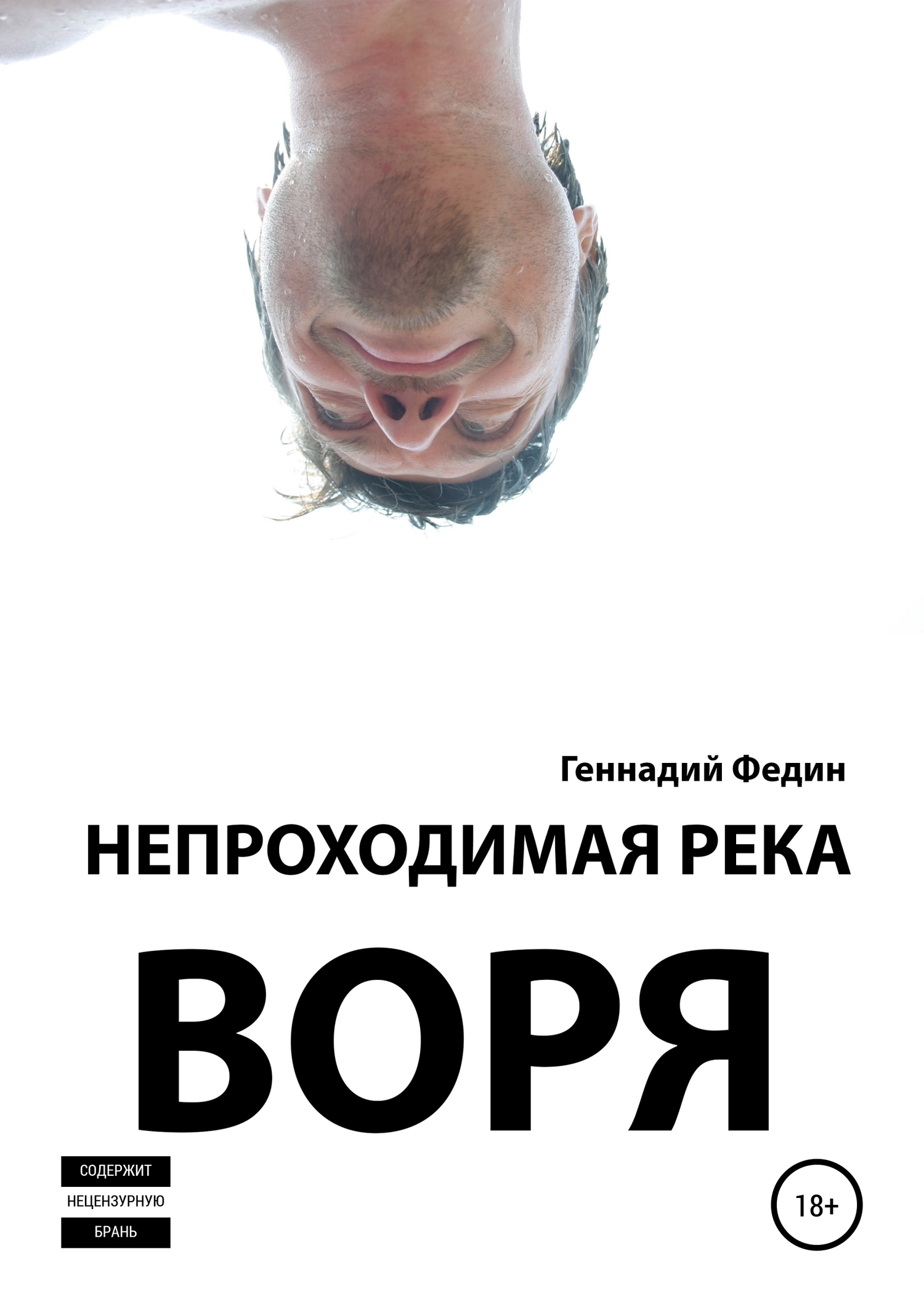 Непроходимая река Воря (fb2)