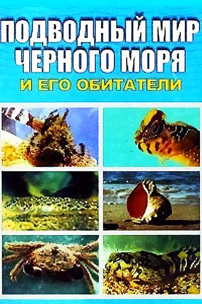 Подводный мир Черного моря (fb2)