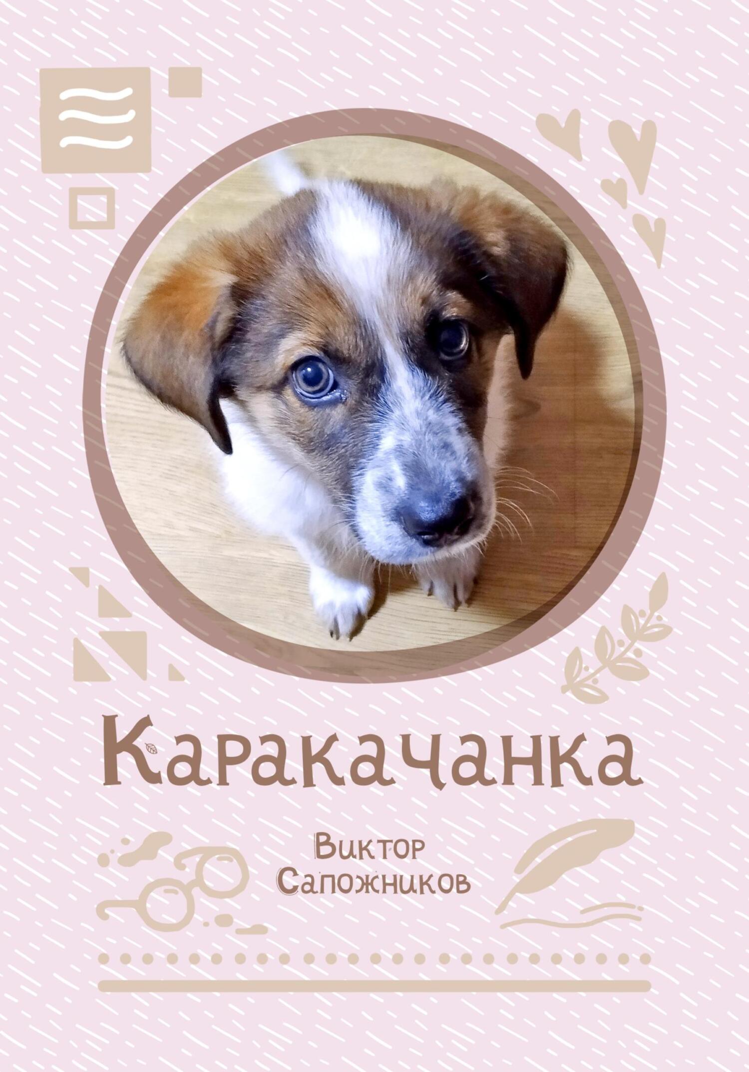 Каракачанка (fb2)