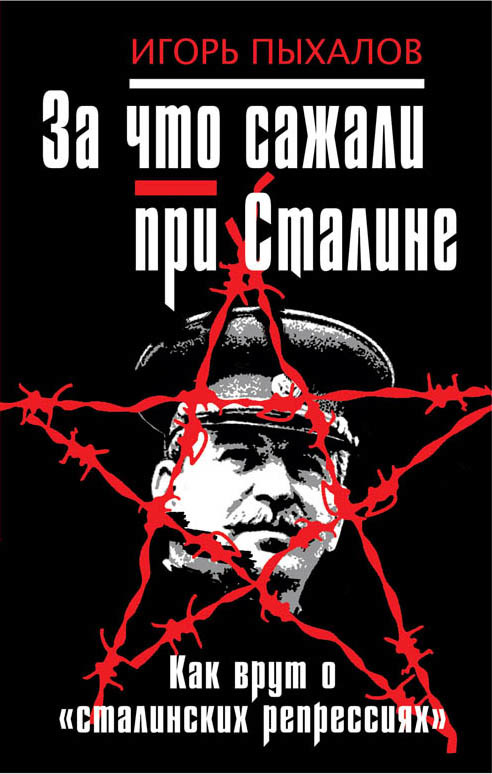 За что сажали при Сталине. Как врут о «сталинских репрессиях» (fb2)