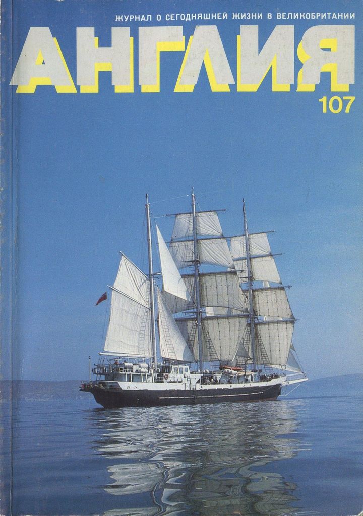 Что же это было? (fb2)