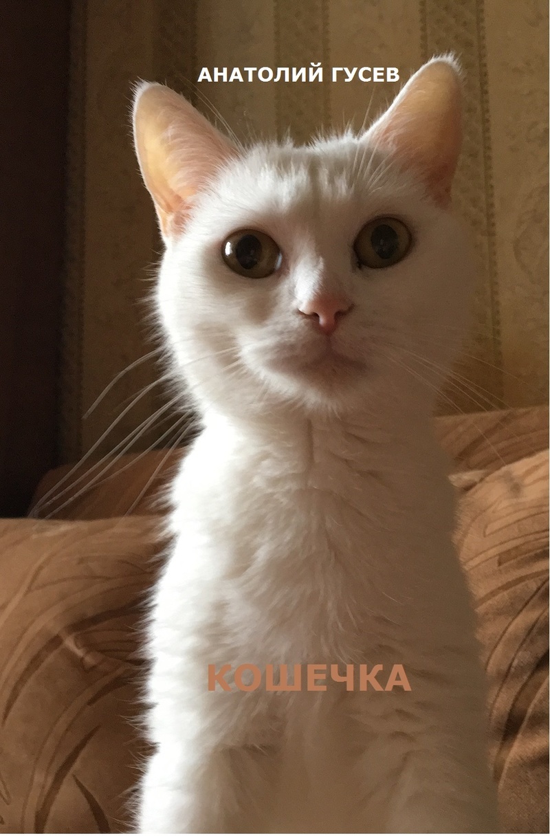 Кошечка(СИ) (fb2)